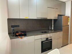 The Antares (D14), Apartment #459331301